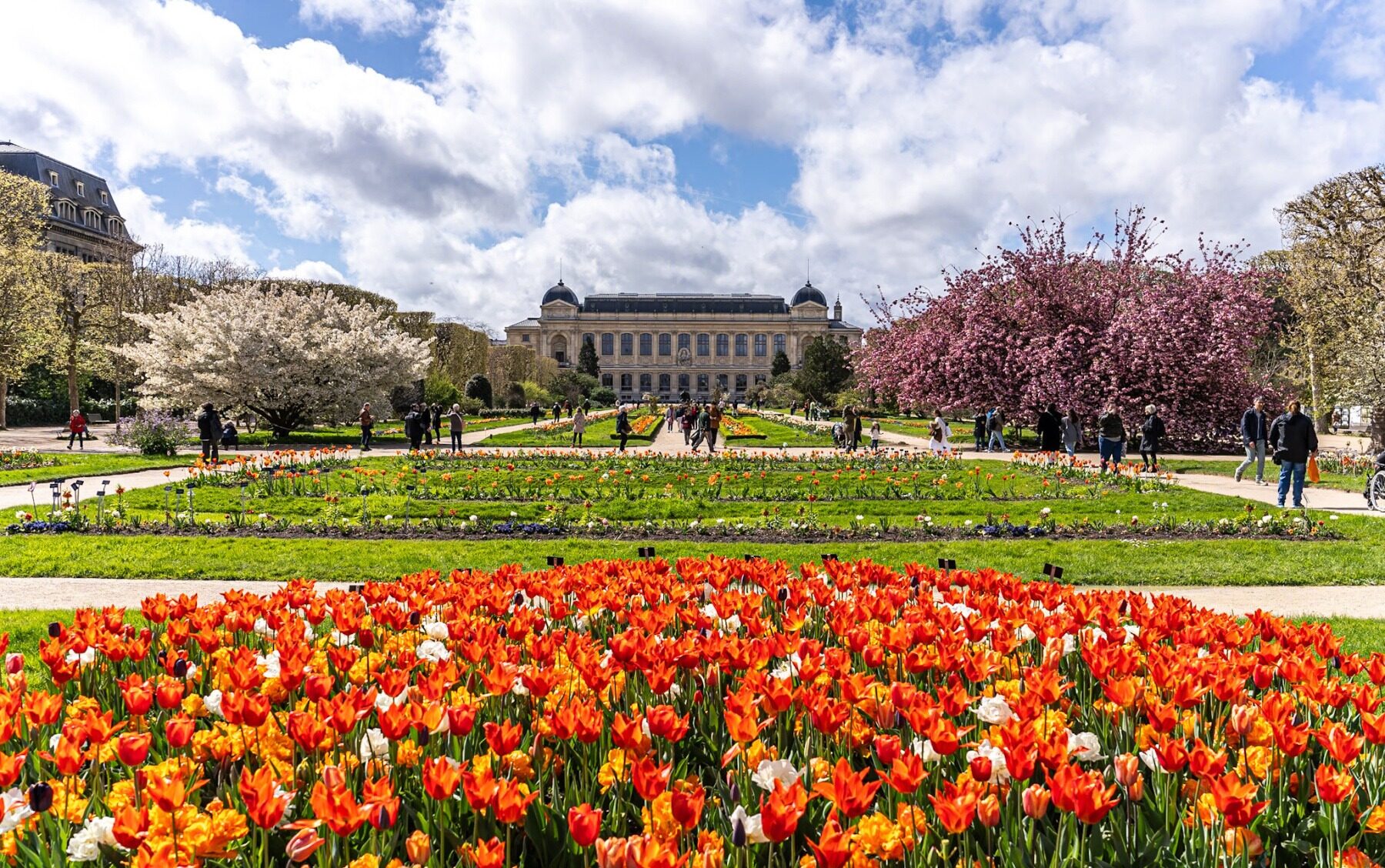 Secteur Geoffroy-Saint-Hilaire et Jardin des Plantes Paris 5e - Nicolas Jeffs